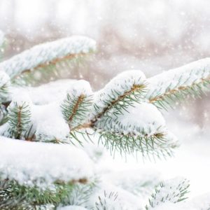 NEWS Winterwanderung 26.01.2020