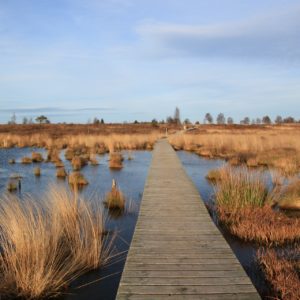 Alle Veranstaltungen im April 2021 abgesagt