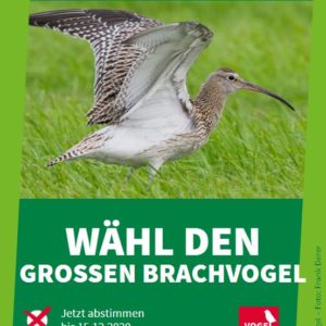 Vogel des Jahres 2021