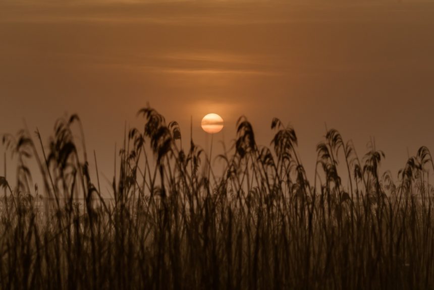 Naturerwachen – Sonnenaufgang-Erlebnis im Moor