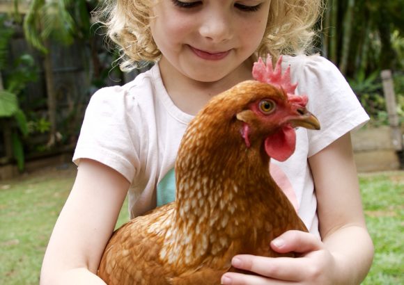 Gemüsehelden und glückliche Hühner – Zukunft der Landwirtschaft