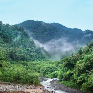 Tatort Regenwald – ein interaktiver Klimakrimi
