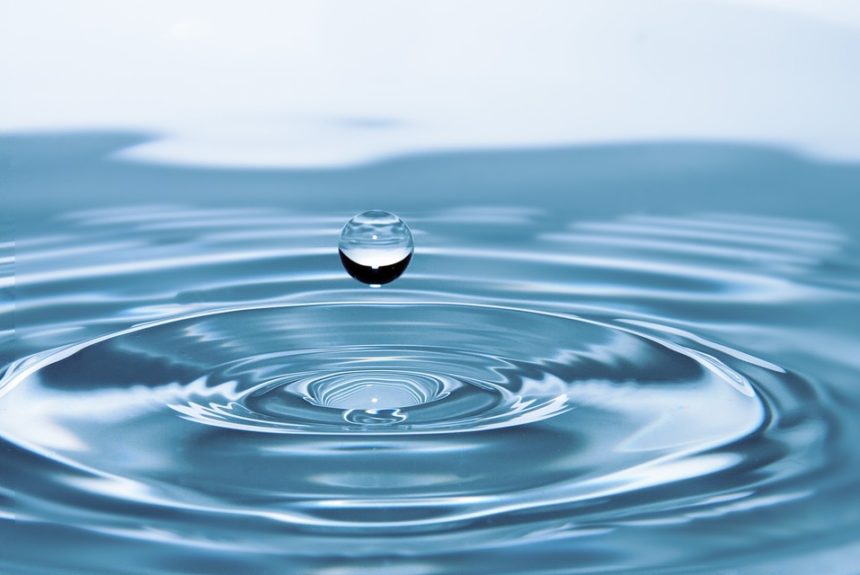 Wasserdetektive – dem sauberen Wasser auf der Spur