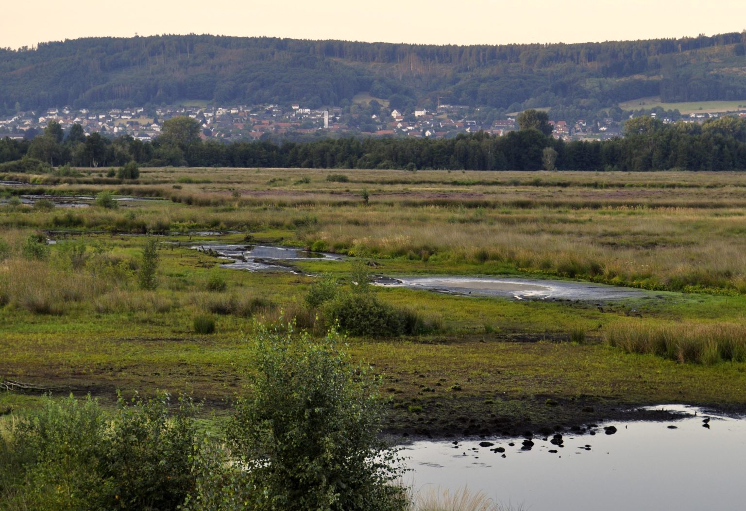 Das Große Torfmoor schreit nach Wasser! Moorhus NABU Besucherzentrum