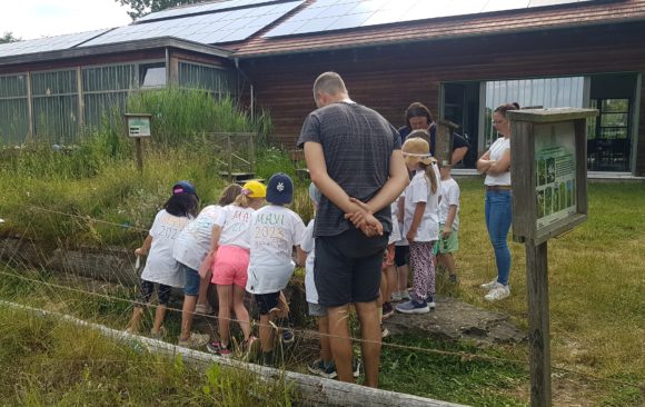 Kita Gänseblümchen zu Besuch im Moorhus