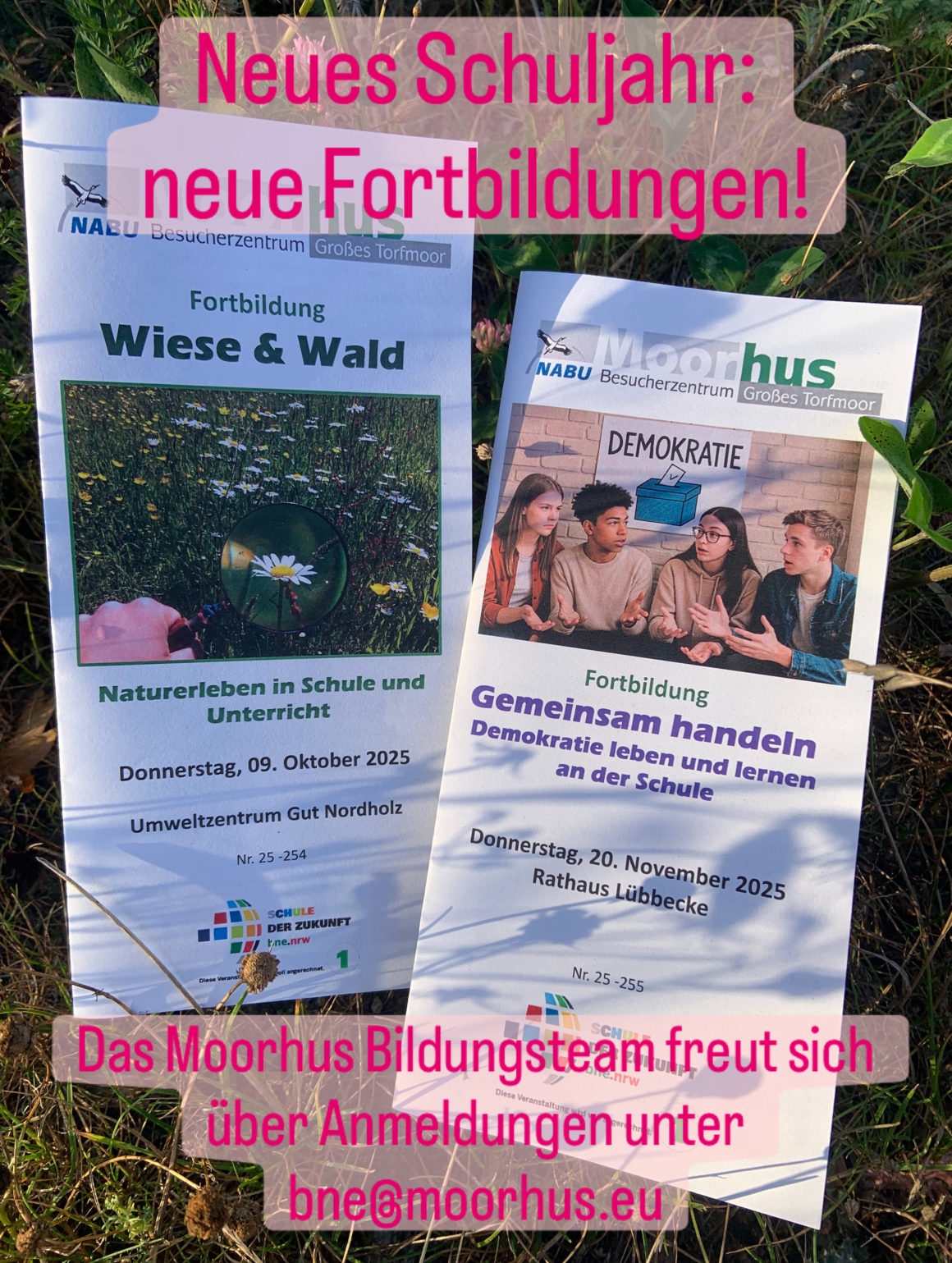 Neues Schuljahr, neue Fortbildungen!