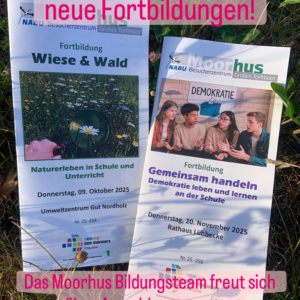 Neues Schuljahr, neue Fortbildungen!