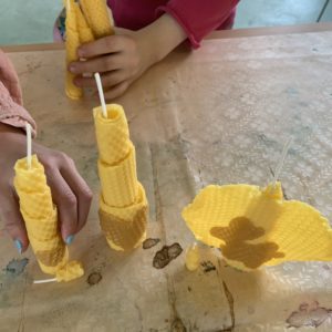 Wunderwelt der Bienen – Bienenwachswerkstatt