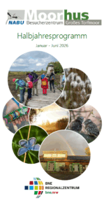 Halbjahresprogramm 1-2026