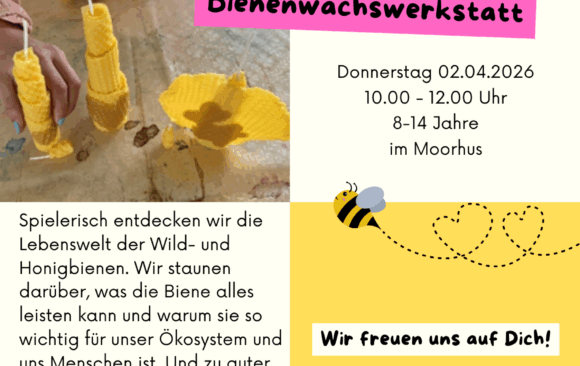 Ferienangebote: