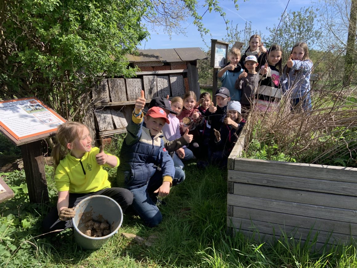 Daumen hoch für gelungene Ferienaktion: Wildbienennisthilfe