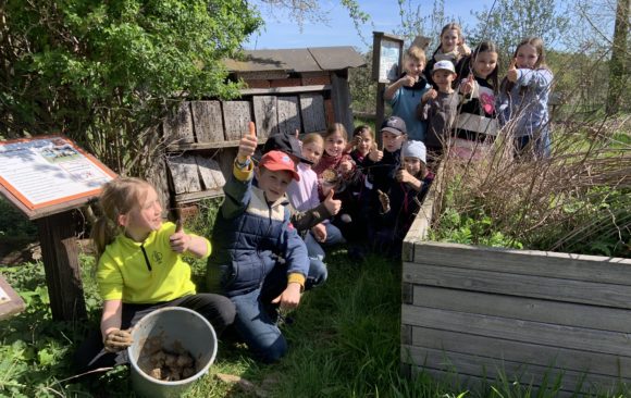 Daumen hoch für gelungene Ferienaktion: Wildbienennisthilfe