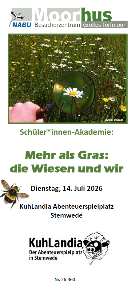 Titelseite Flyer