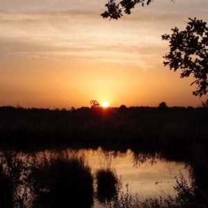 Herbstspaziergang „Moor-extrem“