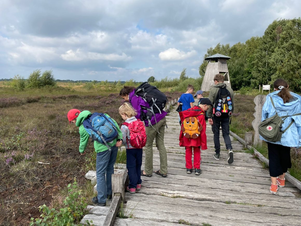 NAJU im Moor, Bildquelle: Moorhus NAJU im Moor, Bildquelle: Moorhus